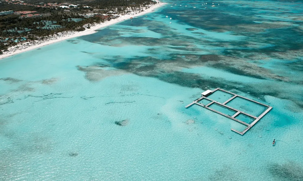 Dolphin Island Park