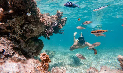Seaquarium Punta Cana