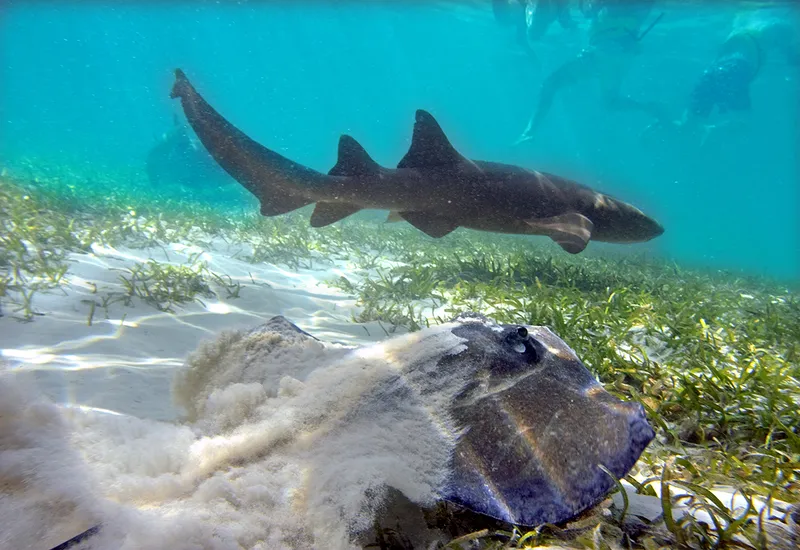 Seaquarium Punta Cana