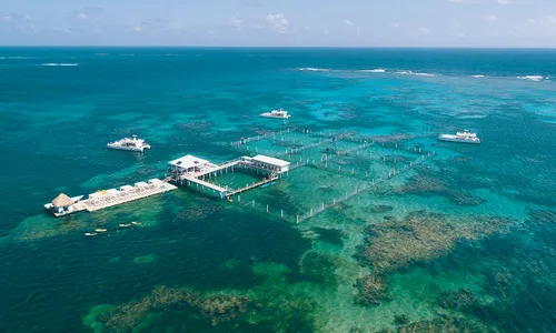 Seaquarium Punta Cana