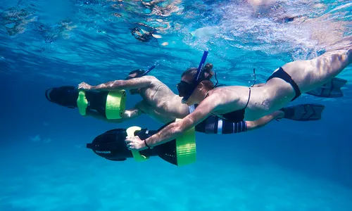 Reef Explorer