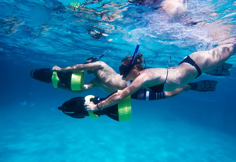 Reef Explorer