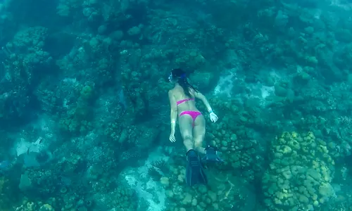 Catalina Experience + Altos de Chavón