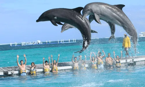 Dolphin Island Park