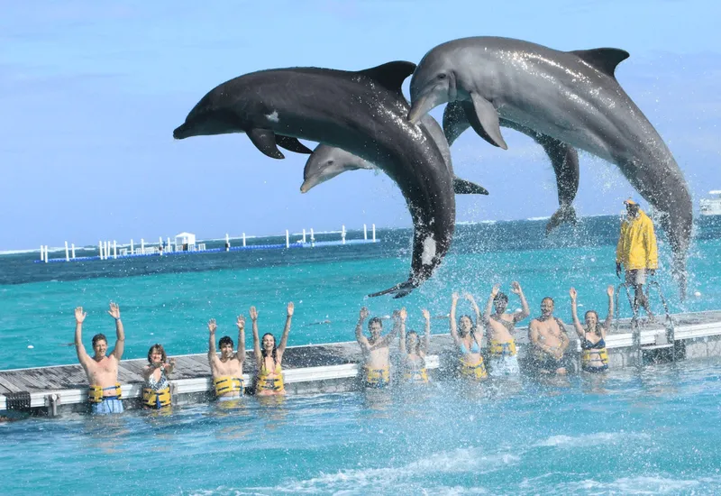 Dolphin Island Park
