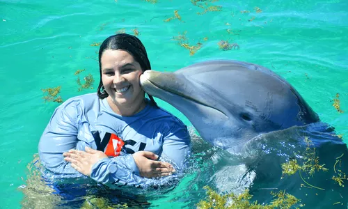 Dolphin Island Park