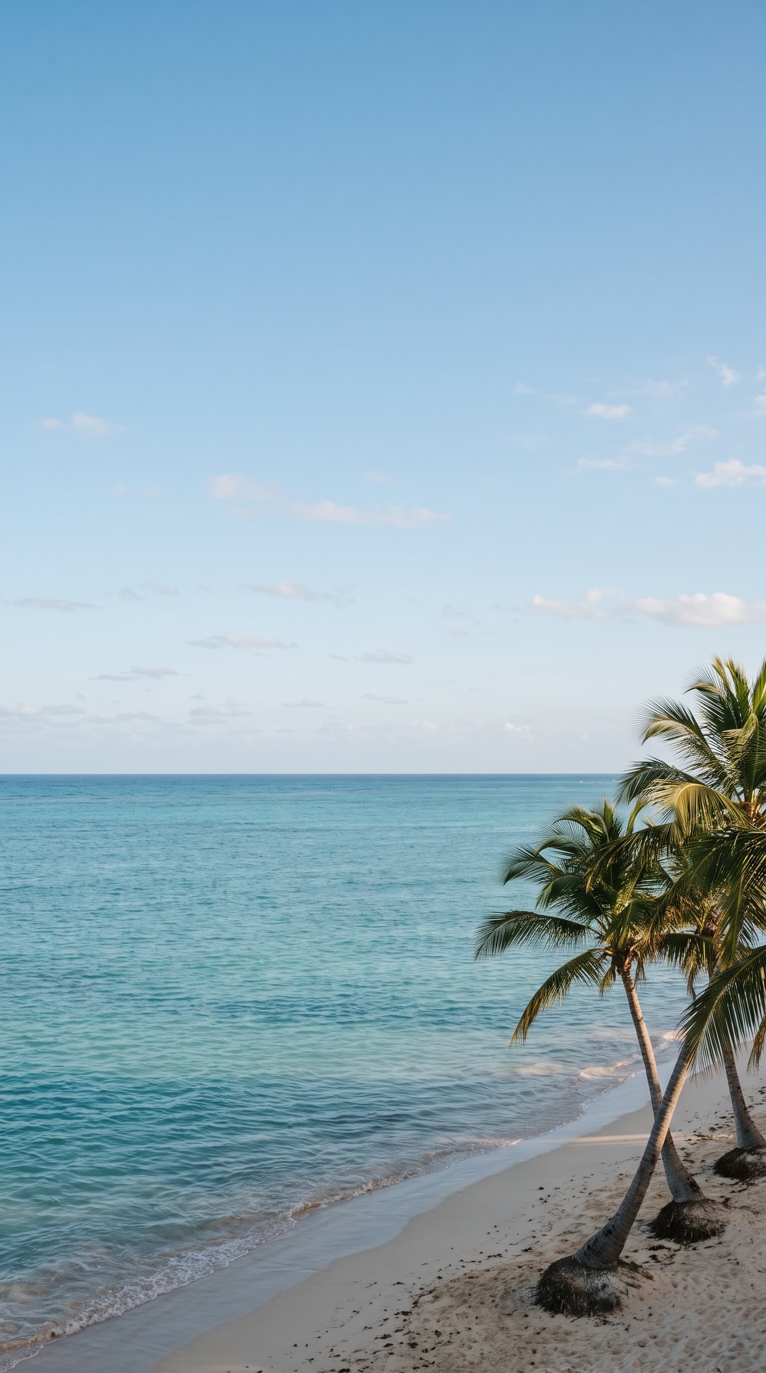 Coconut palms on a quiet beach in Punta Cana, with calm turquoise water and a clear sky