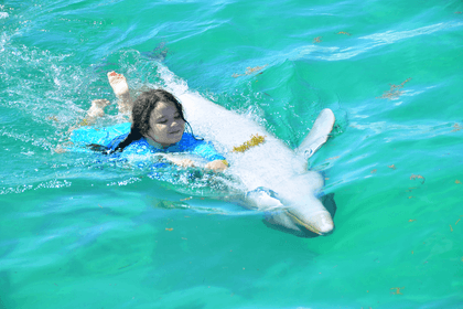 Dolphin Island Park